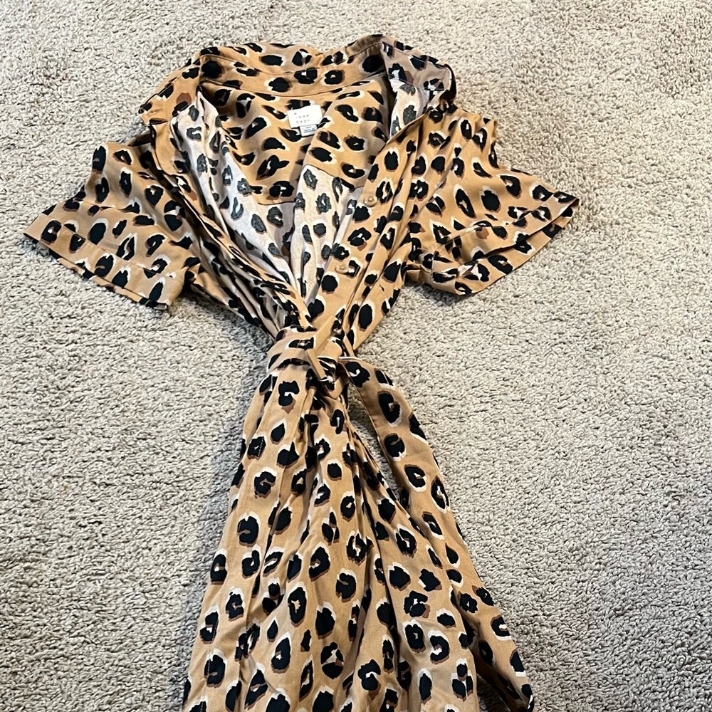 Leopard Print Maxi Dress